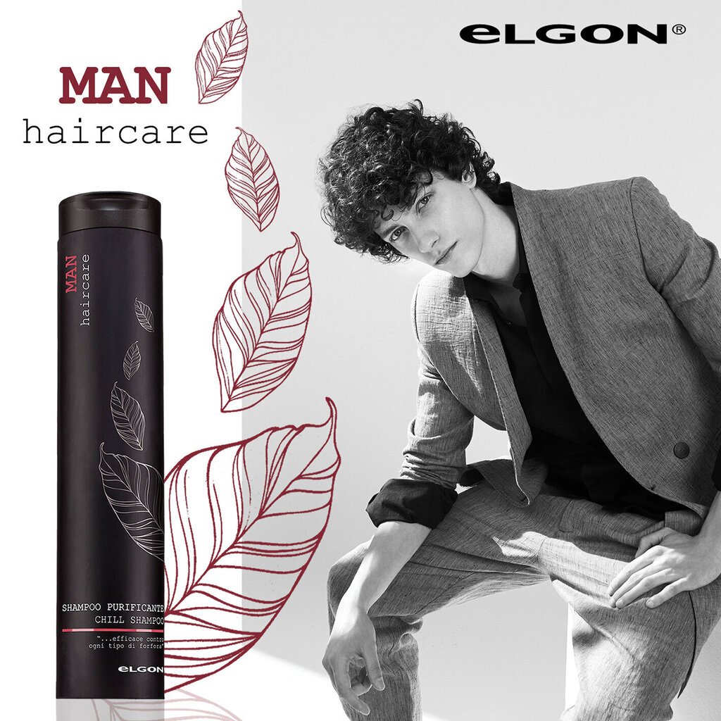 Kõõmavastane šampoon meestele Elgon Man Chill 250 ml цена и информация | Šampoonid | hansapost.ee