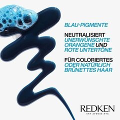 Šampoon pruunidele juustele Redken Color Extend Brownlight, 300 ml hind ja info | Šampoonid | hansapost.ee