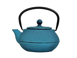 Японский чугунный чайник, зеленовато-голубой, 0.8 л цена и информация | Чайники, кофейники | hansapost.ee