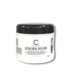 Регенерирующая маска для поврежденных волос, обогащенная растительной плацентой Cosmofarma Joniline 500 мл цена и информация | Маски, масла, сыворотки | hansapost.ee