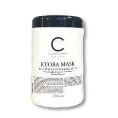 Восстанавливающая маска для волос, обогащенная растительными экстрактами Cosmofarma Joniline 1000 мл цена и информация | Маски, масла, сыворотки | hansapost.ee