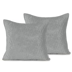 Бархатный чехол LAILA SILVER 45X45см x 2 шт. цена и информация | Декоративные подушки и наволочки | hansapost.ee