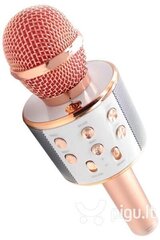 Микрофон для караоке Royal Song WS-858 цена и информация | Микрофоны | hansapost.ee