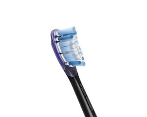 Sonicare G3 Premium Gum Care Standard hind ja info | Elektriliste hambaharjade otsikud | hansapost.ee
