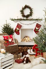Dekoratiivne jõulupadjapüür koos pildiga "Xmas Trio", 45x45 cm hind ja info | Padjakatted ja dekoratiivpadjad | hansapost.ee