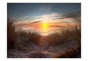 Fototapeet - Sunset over the Atlantic Ocean hind ja info | Fototapeedid | hansapost.ee