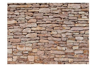 Fototapeet - Natural stone wall hind ja info | Fototapeedid | hansapost.ee