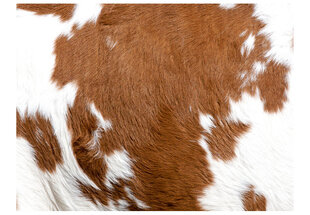 Fototapeet - Cowhide hind ja info | Fototapeedid | hansapost.ee