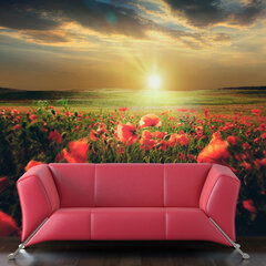 Fototapeet - Morning on the poppy meadow hind ja info | Fototapeedid | hansapost.ee