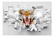 Fototapeet - Tiger Jump hind ja info | Fototapeedid | hansapost.ee