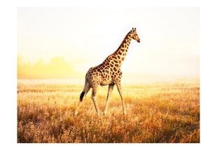 Фотообои - Походка жирафы цена и информация | Artgeist Сантехника, ремонт, вентиляция | hansapost.ee