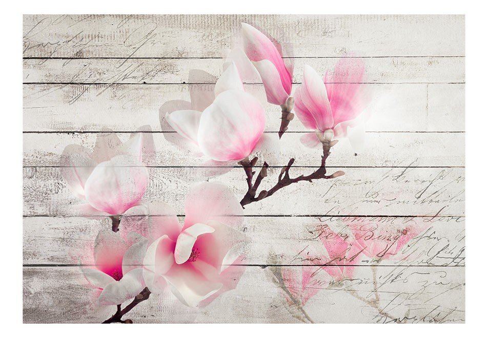 Fototapeet - Gentleness of the Magnolia цена и информация | Fototapeedid | hansapost.ee