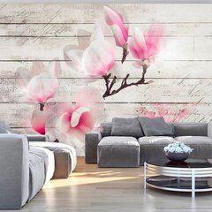 Fototapeet - Gentleness of the Magnolia цена и информация | Фотообои | hansapost.ee