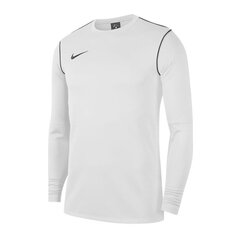 Meeste dressipluus Nike Park 20 Crew M BV6875-100, 54388 hind ja info | Pusad meestele | hansapost.ee