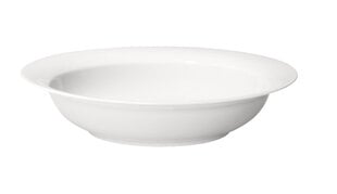Arabia глубокая тарелка Arctica, 24 см цена и информация | Посуда, тарелки, обеденные сервизы | hansapost.ee