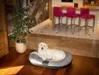 Hobbydog pesu Ponton Ekolen, XXXL, hall, 130x100 cm hind ja info | Pesad, asemed | hansapost.ee