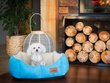 Koera pesa Hobbydog New York Premium, M, Sky Blue, 53x45 cm цена и информация | Pesad, asemed | hansapost.ee