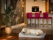 Hobbydog madrats lemmikloomale Fun Light Grey, M, 80x55 cm цена и информация | Pesad, asemed | hansapost.ee