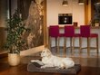 Hobbydog madrats lemmikloomale Fun Brown, XL, 120x80 cm цена и информация | Pesad, asemed | hansapost.ee