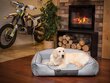 Hobbydog pesa Royal Light Grey Ekolen, XXL, 110x85 cm hind ja info | Pesad, asemed | hansapost.ee