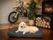 Hobbydog madrats Black Ekolen M, 70x50 cm цена и информация | Pesad, asemed | hansapost.ee