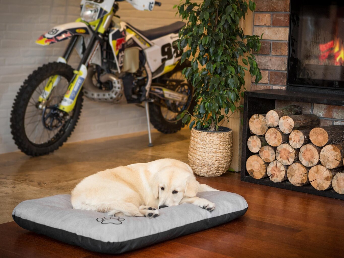 Hobbydog madrats lemmikloomale Eco Prestige Light Grey Ekolen, R2, 100x70 cm hind ja info | Pesad, asemed | hansapost.ee