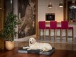 Hobbydog madrats Premium Black/Dark Grey Ekolen L, 100x67 cm hind ja info | Pesad, asemed | hansapost.ee