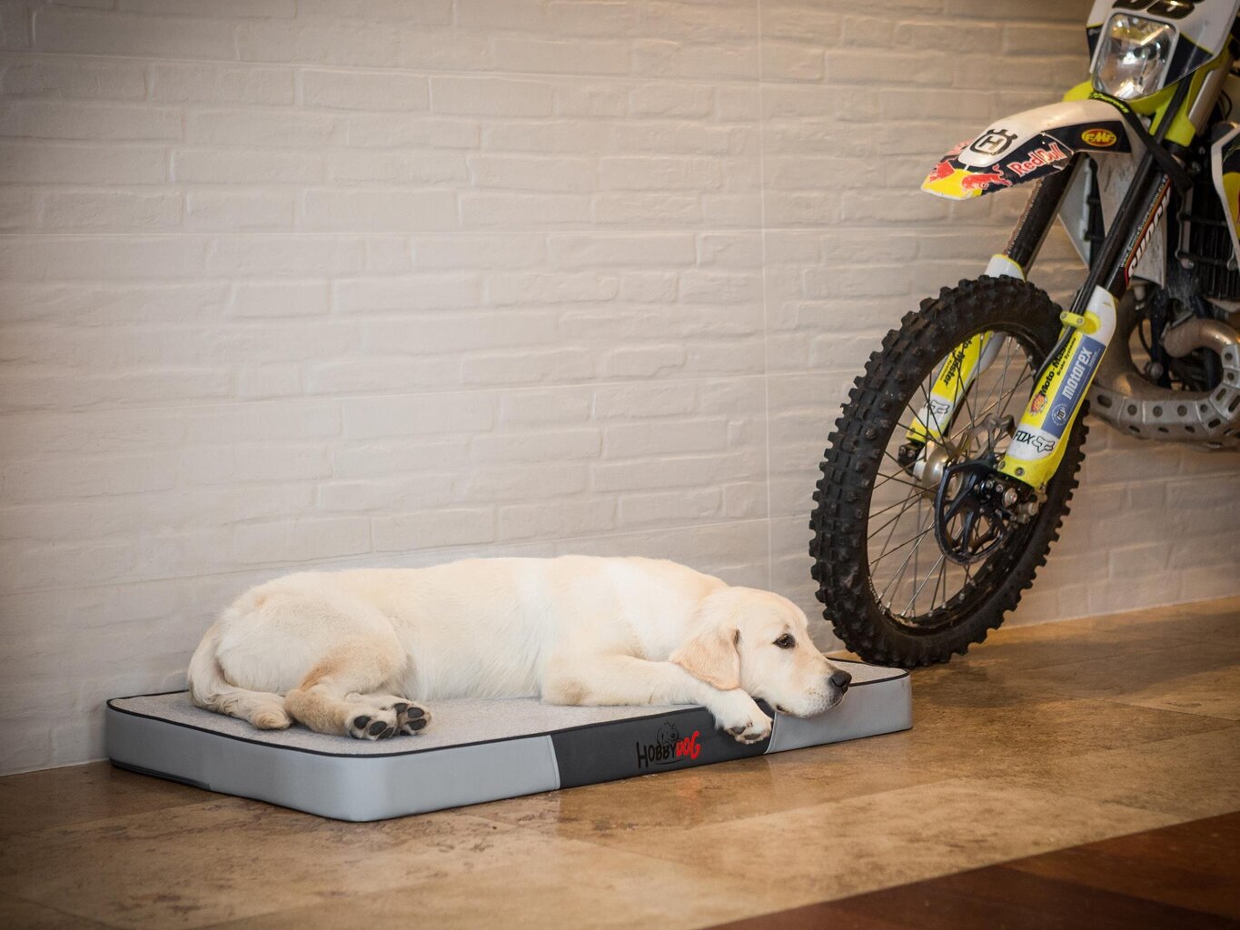 Hobbydog madrats Premium Light Grey Ekolen/Skaj XL, 120x80 cm цена и информация | Pesad, asemed | hansapost.ee