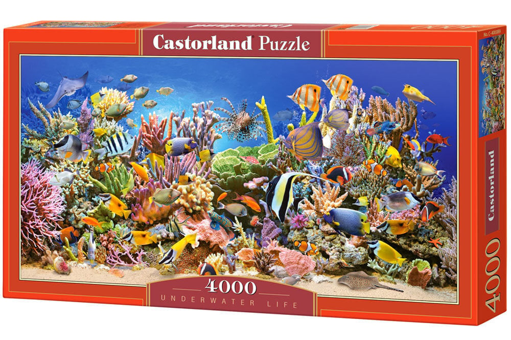 Pusle Castorland Puzzle Underwater Life, 4000-osaline цена и информация | Pusled lastele ja täiskasvanutele | hansapost.ee