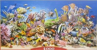 Pusle Castorland Puzzle Underwater Life, 4000-osaline hind ja info | Castorland Lastekaubad ja beebikaubad | hansapost.ee