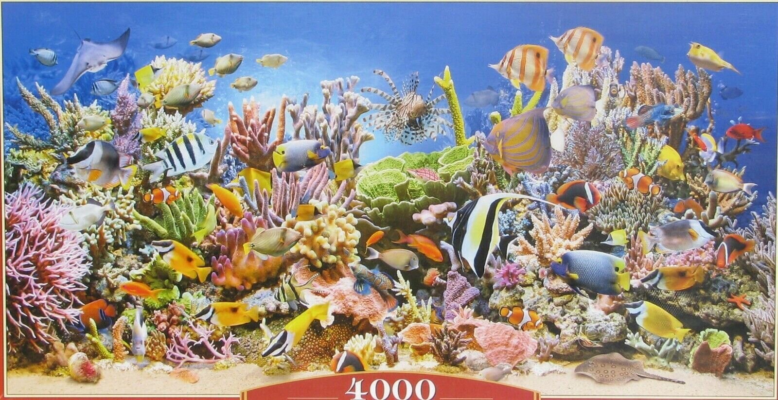 Pusle Castorland Puzzle Underwater Life, 4000-osaline hind ja info | Pusled lastele ja täiskasvanutele | hansapost.ee