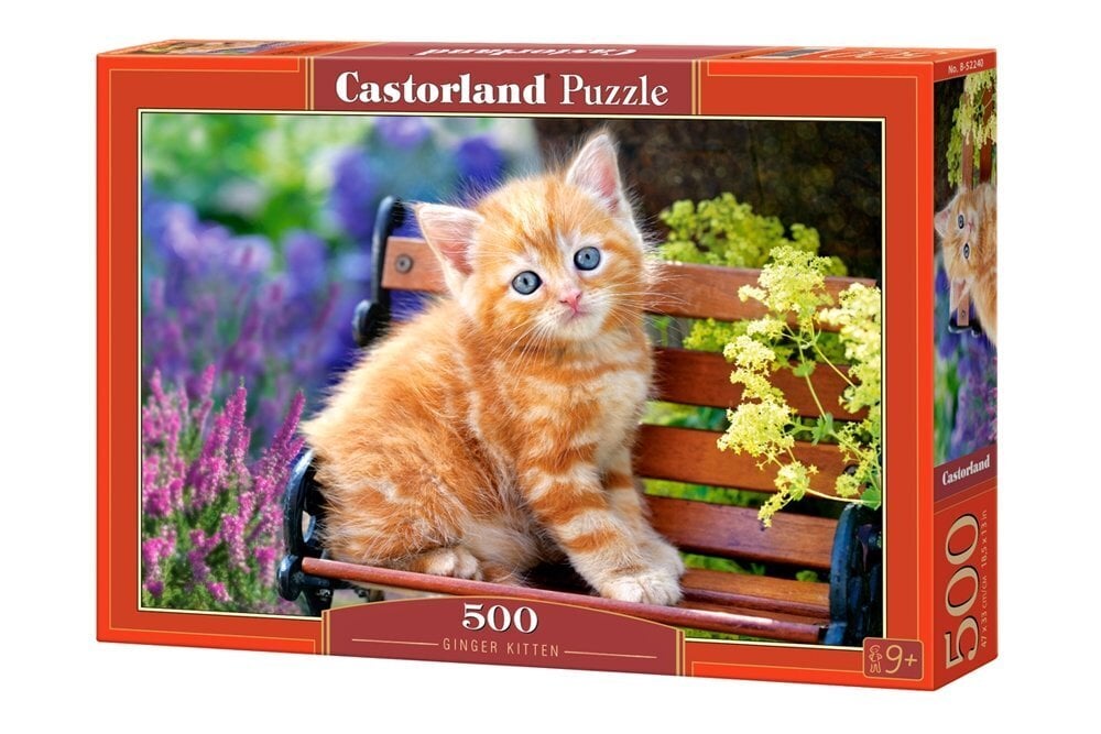 Pusle Castorland Puzzle Ginger Kitten, 500-osaline цена и информация | Pusled lastele ja täiskasvanutele | hansapost.ee