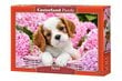 Puzzle 500 Pup in Pink Flowers 52233 цена и информация | Pusled lastele ja täiskasvanutele | hansapost.ee