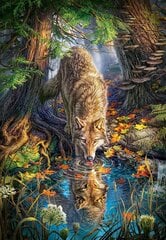 Pusle Castorland Puzzle Wolf in the Wild, 1500 osaline hind ja info | Castorland Lastekaubad ja beebikaubad | hansapost.ee