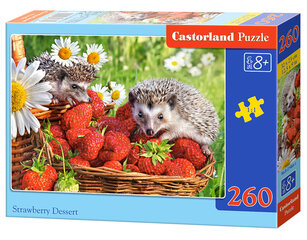 Пазл Strawberry Dessert Castorland, 260 шт цена и информация | Castorland Детям от 3 лет | hansapost.ee