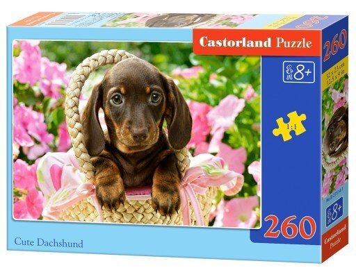 Pusle Castorland Cute Dachshund, 260-osaline hind ja info | Pusled lastele ja täiskasvanutele | hansapost.ee