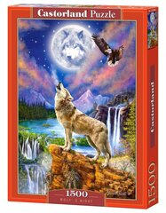 Головоломка "Wolf's Night" Castorland, 1500 д. цена и информация | Пазлы | hansapost.ee