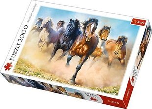 Пазл Trefl Horses, 2000 д. цена и информация | Trefl Товары для детей и младенцев | hansapost.ee