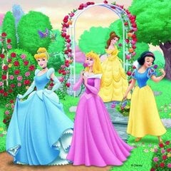 Pusle Ravensburger Disney Princess 3 x 49 osa hind ja info | Pusled lastele ja täiskasvanutele | hansapost.ee