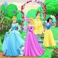 Pusle Ravensburger Disney Princess 3 x 49 osa hind ja info | Pusled lastele ja täiskasvanutele | hansapost.ee