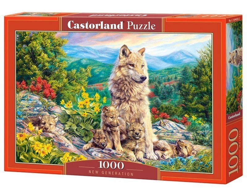 Pusle Castorland Puzzle New Generation, 1000-osaline hind ja info | Pusled lastele ja täiskasvanutele | hansapost.ee