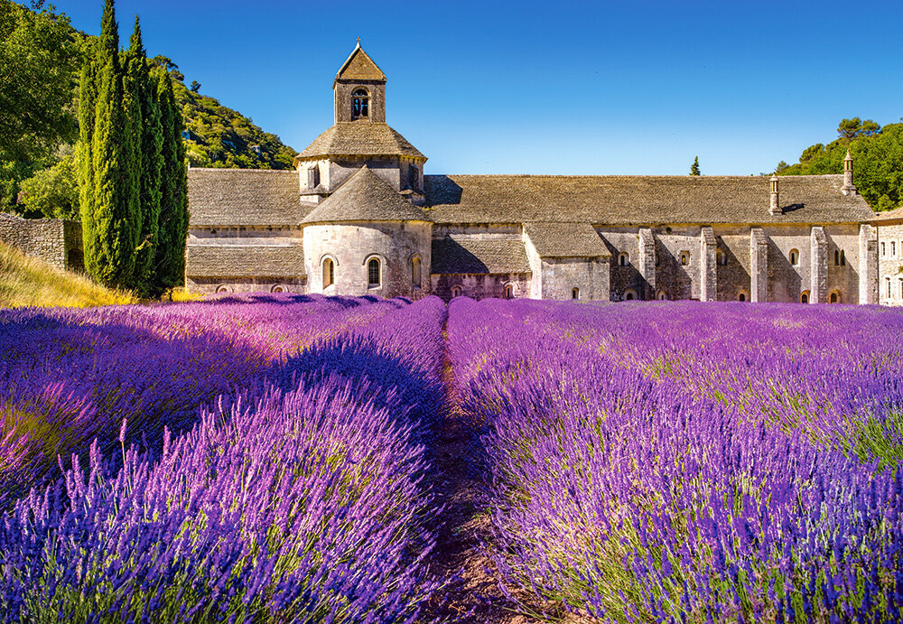 Pusle Castorland Puzzle Lavender Field in Provence, France, 1000-osaline цена и информация | Pusled lastele ja täiskasvanutele | hansapost.ee