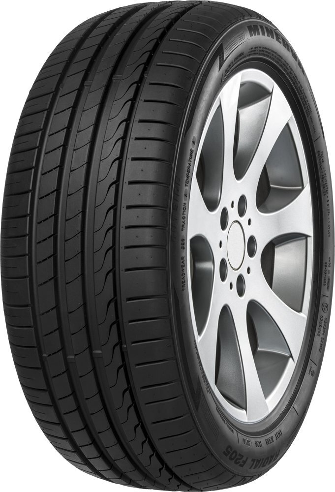 Minerva F205 225/50R17 98 Y XL цена и информация | Suverehvid | hansapost.ee