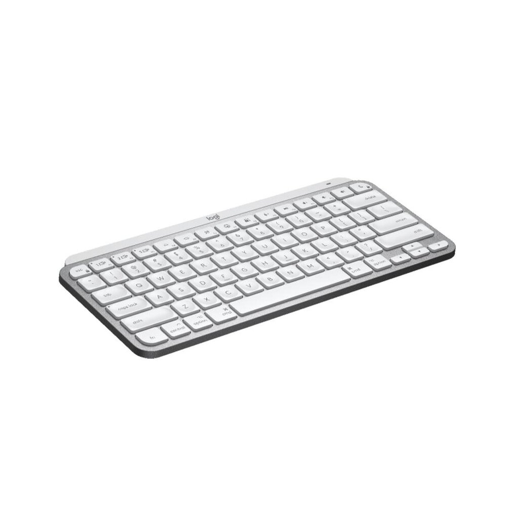 Logitech MX Keys Mini Mac цена и информация | Klaviatuurid | hansapost.ee