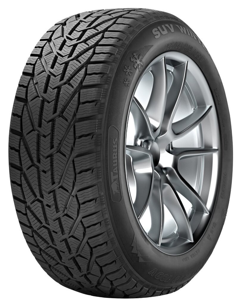 Taurus SUV Winter 205/65R15 94 T цена и информация | Talverehvid | hansapost.ee