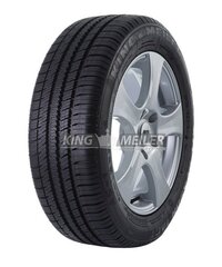 REIFEN AS-1 225/45R17 H (protekteeritud) цена и информация | Всесезонная резина | hansapost.ee