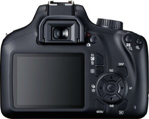 Камера Canon EOS 4000D Body цена и информация | Canon Мобильные телефоны, Фото и Видео | hansapost.ee