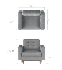 Кресло Asgard, коричневое цена и информация | Кресла для отдыха | hansapost.ee