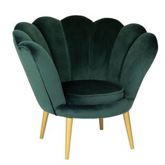 Кресло TMS Tristan, зеленого/золотого цвета цена и информация | Кресла | hansapost.ee