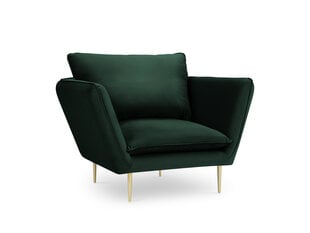 Кресло Mazzini Sofas Verveine, темно-зеленое цена и информация | Кресла | hansapost.ee